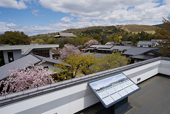 Viewing Deck