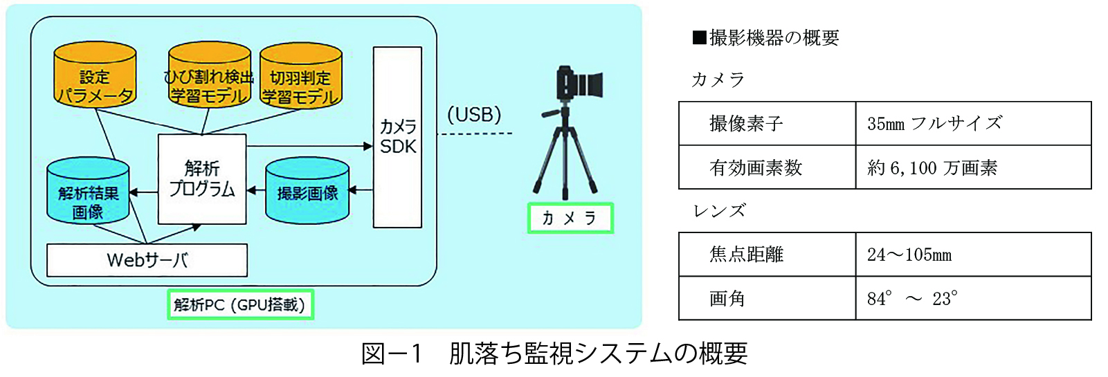 20240408_hadaochi1.jpg