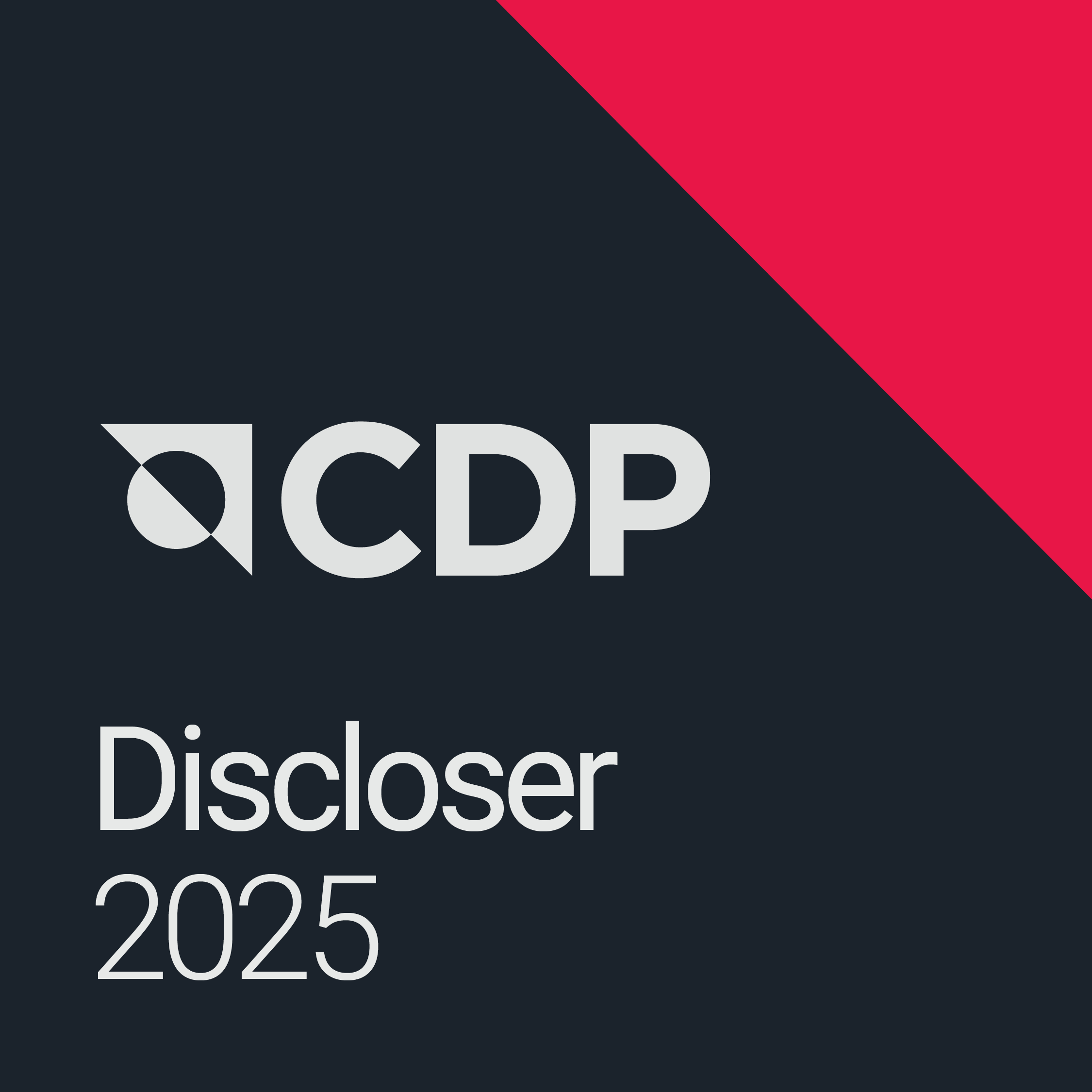 20251107_cdp.png