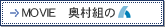 MOVIE g̐l